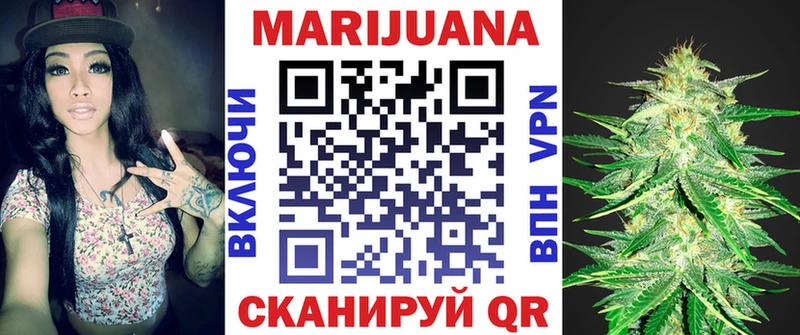 купить Гаджиево Каннабис индика